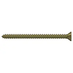 Deltana SCWS925U5 Wood Screw; Steel; #9 x 2-1/2"; Antique Brass Finish