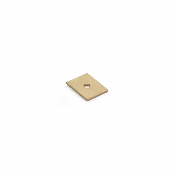 SCHAUB 5101B-SSB Schaub  1" Pub House Backplate for Knob Signature Satin Brass Finish